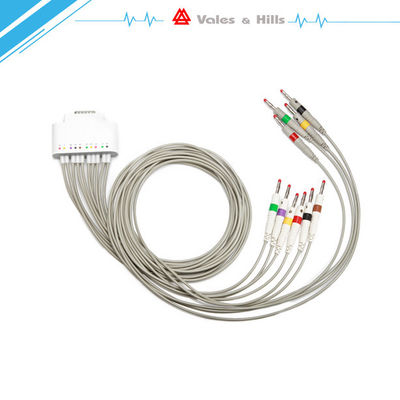 High Definition IOS IPad Handheld Ecg Machine With Wifi Bluetooth Transfer Data